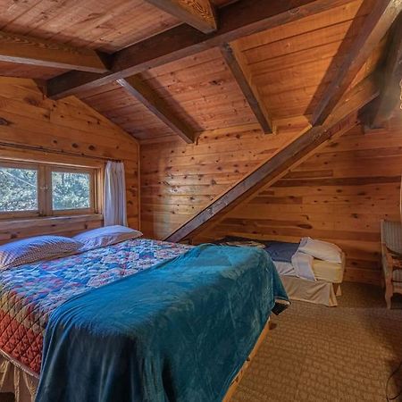 Forest Cabin 3 Bear'S Den Payson Exteriör bild