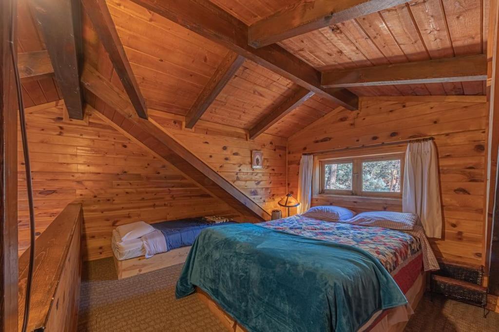 Forest Cabin 3 Bear'S Den Payson Exteriör bild