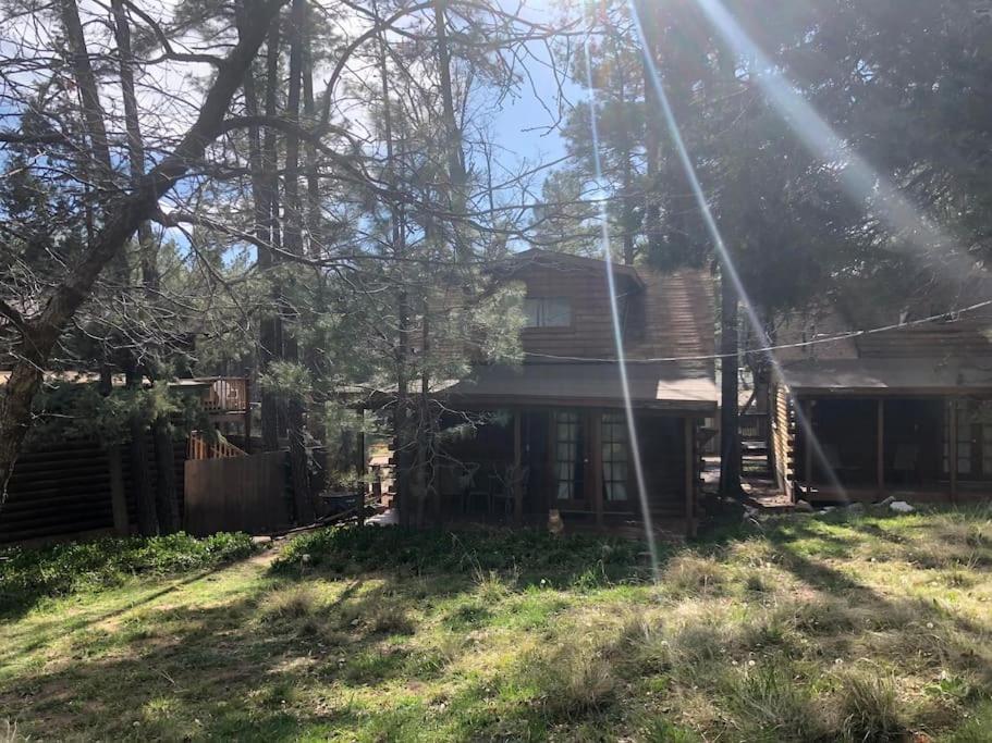 Forest Cabin 3 Bear'S Den Payson Exteriör bild
